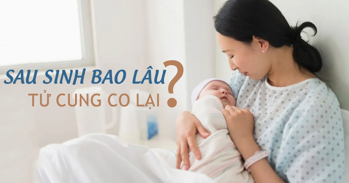 Sau sinh bao lâu thì tử cung co lại?