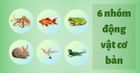 6 nhóm động vật cơ bản trên trái đất là những nhóm nào?