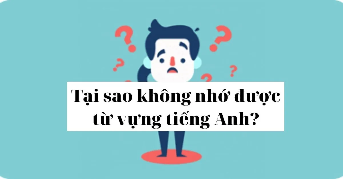 Tại sao bạn học từ vựng hoài mà không nhớ???