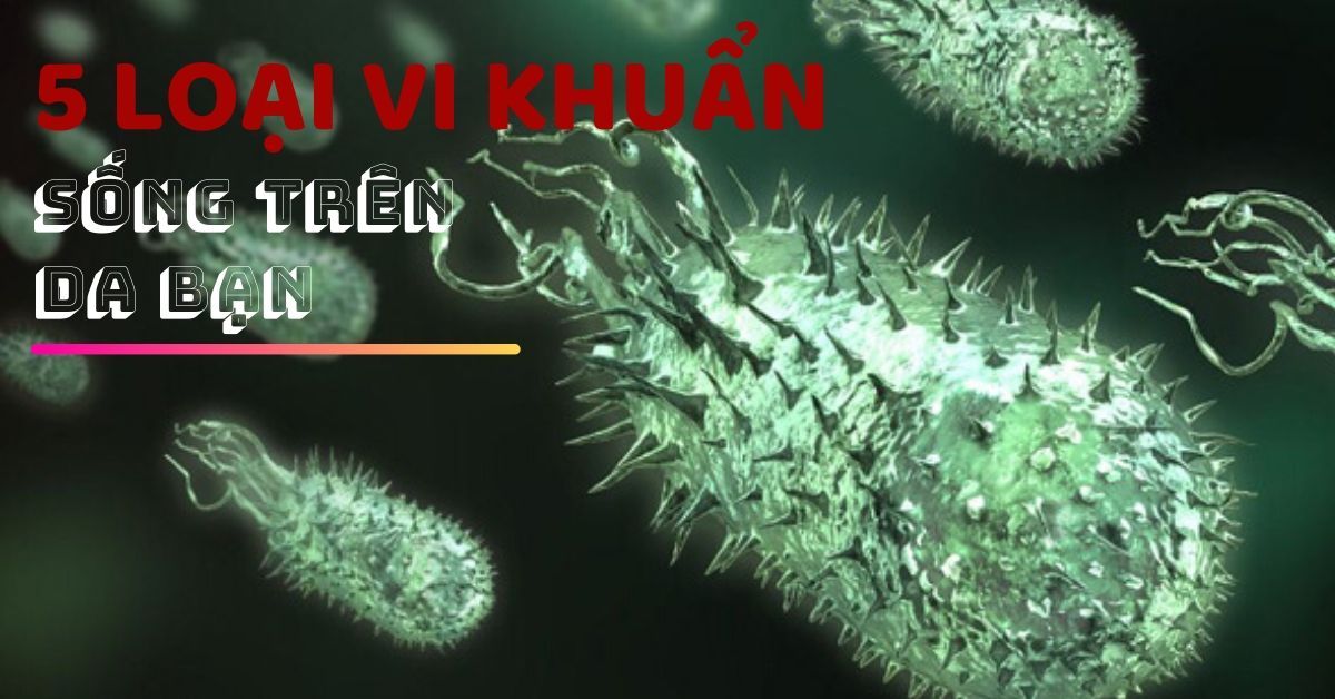 5 loại vi khuẩn định cư trên da bạn?