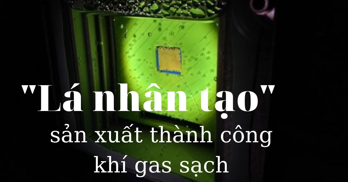 Lá nhân tạo sản xuất thành công khí gas sạch