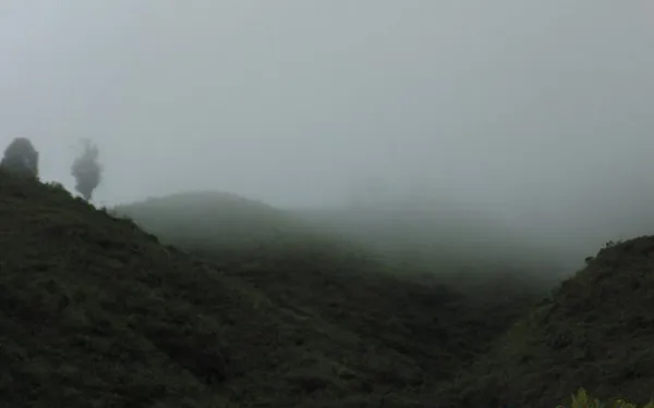 Dự báo thời tiết 3 ngày tới (12-14/11): Mưa nhiều