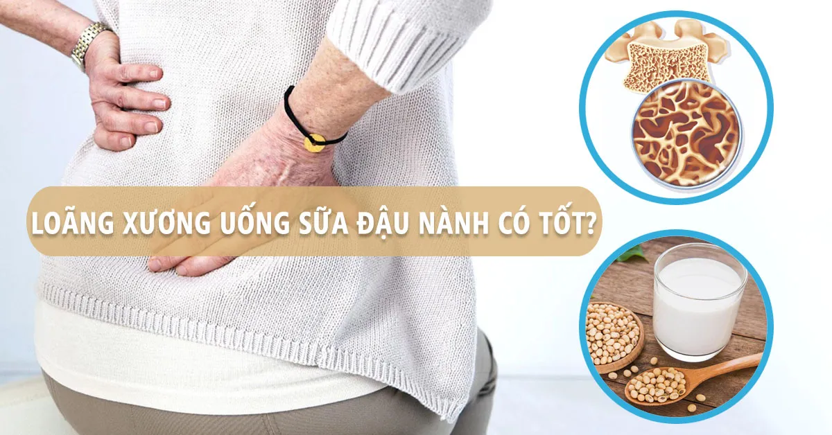 Uống sữa đậu nành có giúp ích cho người bị loãng xương?