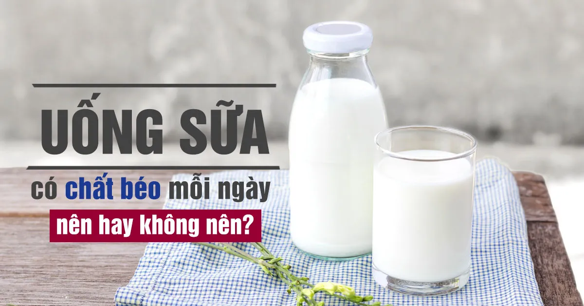 Uống sữa có chất béo có làm tăng cholesterol không?