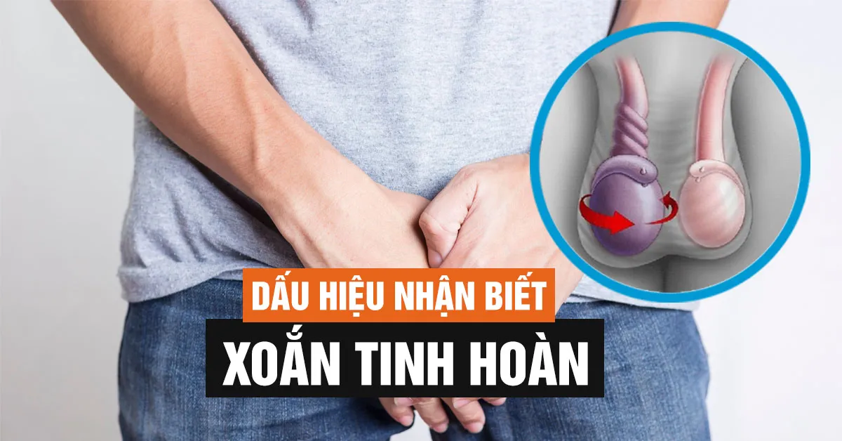 Dấu hiệu nhận biết xoắn tinh hoàn và cách chữa trị