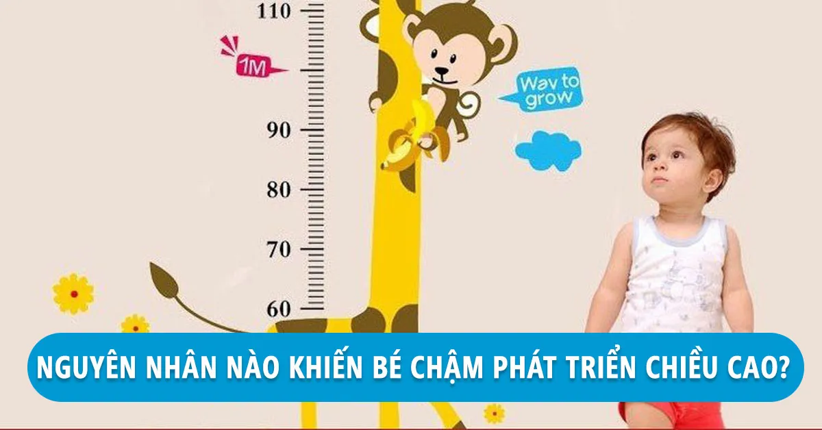 Những nguyên nhân khiến bé 1 tuổi chậm phát triển chiều cao