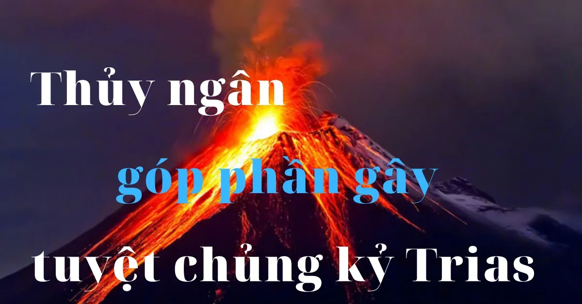 Thủy ngân góp phần gây tuyệt chủng kỷ Trias 