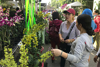 Khai mạc Tuần lễ Sinh vật cảnh TPHCM năm 2019