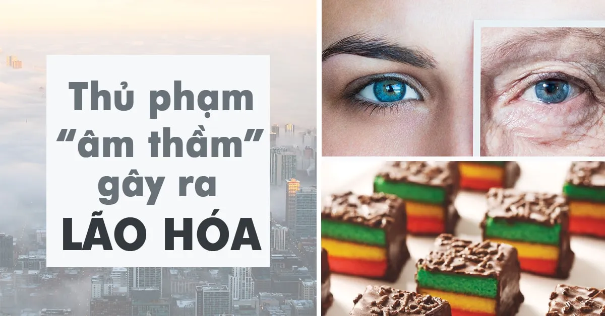 9 ‘thủ phạm’ đang ‘âm thầm’ khiến bạn già đi trông thấy