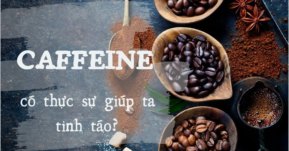 Tại sao caffeine giúp chúng ta tỉnh táo?