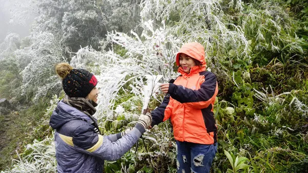 Dự báo thời tiết ngày mai 4/12: Bắc Bộ rét cóng, Trung Bộ mưa