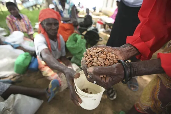 Liên Hợp Quốc cho biết phân nửa dân số Zimbabwe đối diện với nạn đói nghiêm trọng