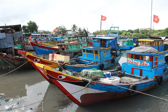 TPHCM ra công văn ứng phó bão số 7: Yêu cầu thuyền viên, ngư dân phải mặc áo phao khi ra khơi