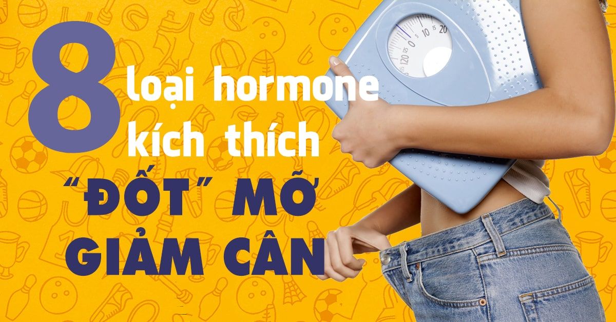 Bật mí bí kíp giảm cân từ 8 loại hormone ‘đốt’ chất béo trong cơ thể