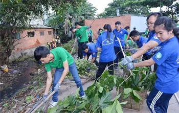 Thực tế từ các dòng kênh