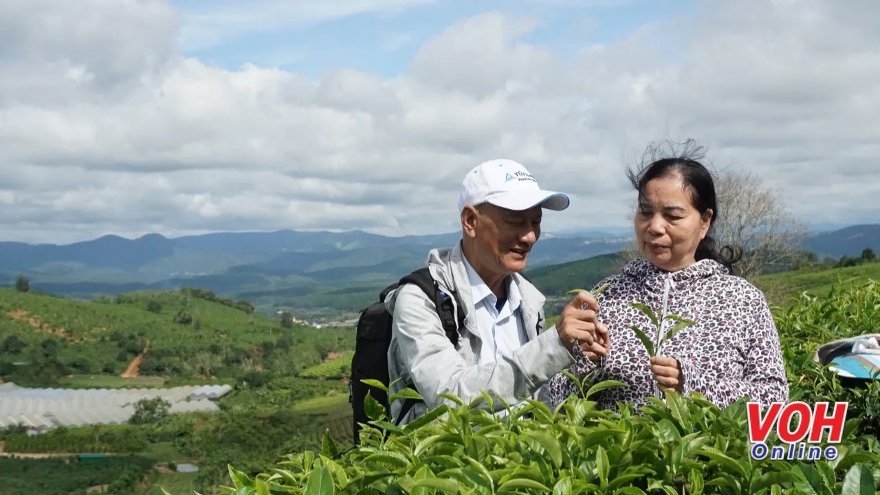 Festival Hoa Đà Lạt lần VIII năm 2019 sẽ thân thiện và an toàn cho du khách