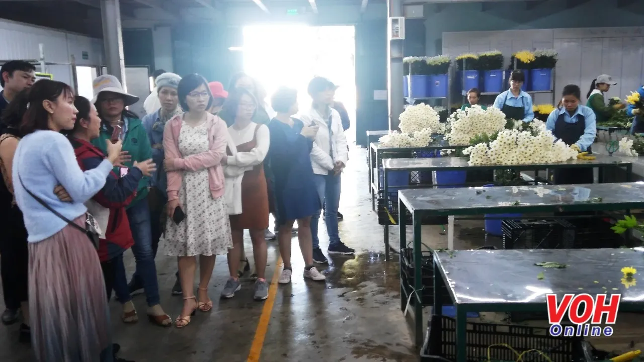 Cán bộ khuyến nông TPHCM học tập mô hình sản xuất, tiêu thụ hoa cảnh Hasfarm