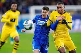 Hoffenheim 2-1 Dortmund (Bundesliga 2019/20 - Vòng 17)