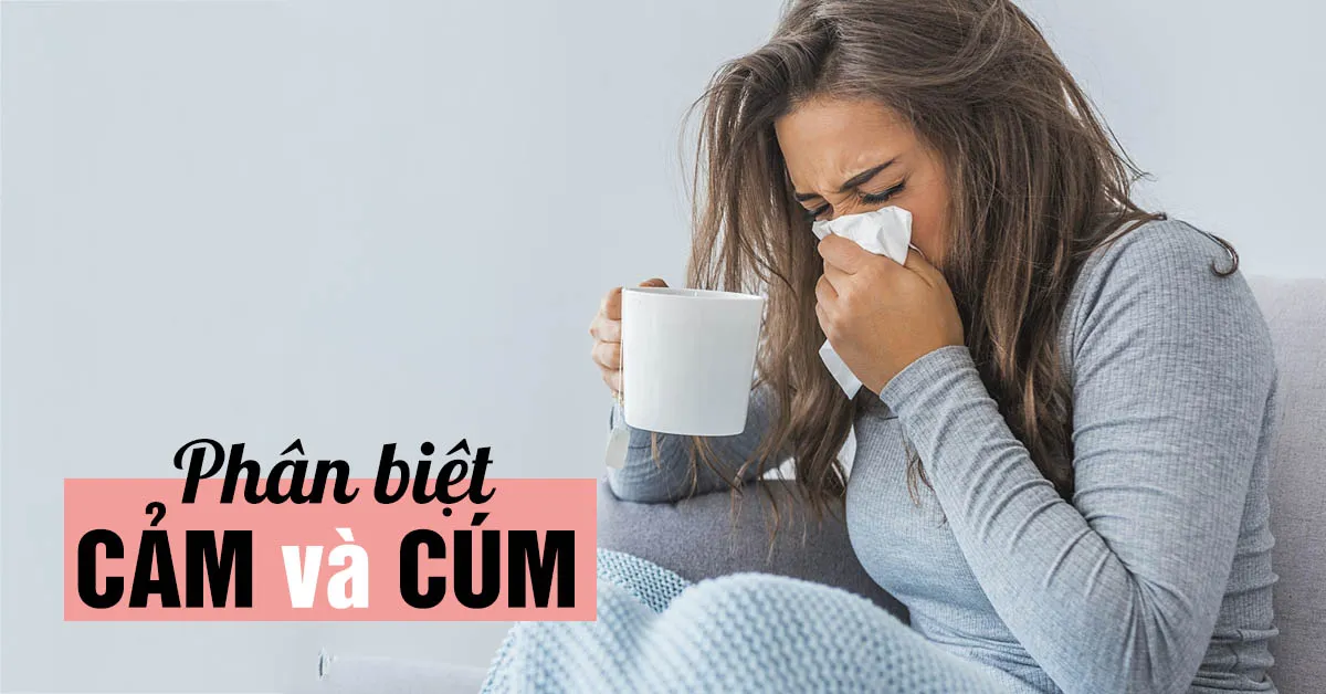 Cách phân biệt bệnh cảm và cúm để dễ dàng nhận biết