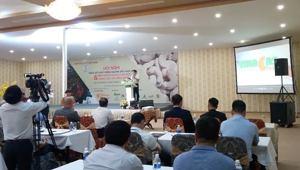 Đến 11 tháng năm 2019, xuất khẩu điều nhân hơn 450.000 tấn