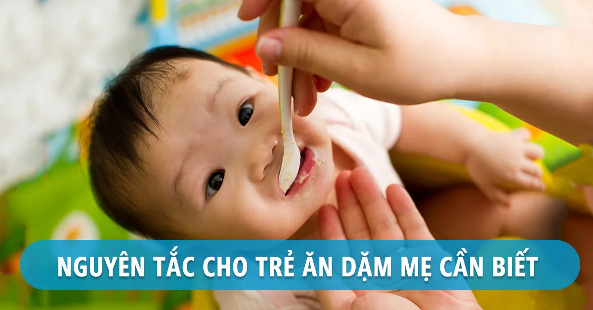 5 nguyên tắc cần nhớ khi cho trẻ ăn dặm đúng cách