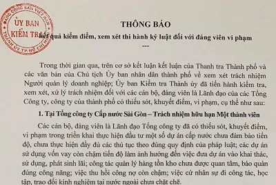 Xử lý kỷ luật nhiều lãnh đạo các Tổng công ty, công ty của TPHCM