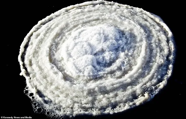 Hiện tượng thiên nhiên kỳ thú ….“bánh pizza” nổi trên mặt nước