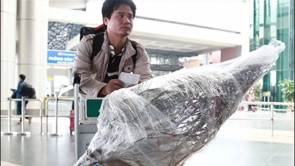 Giá vận chuyển mai, đào dịp Tết Nguyên Đán 2020 theo đường hàng không từ 450.000 – 500.000 đồng/bó