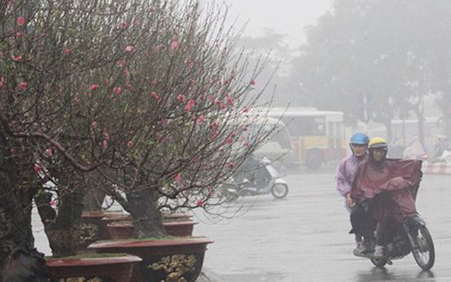 Dự báo thời tiết hôm nay 14/1: Đông Bắc Bộ có mưa phùn và sương mù