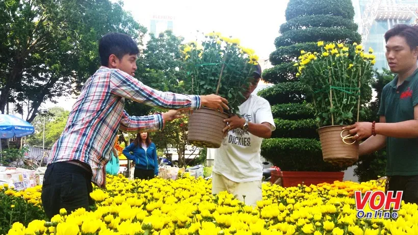 TPHCM tổ chức 166 đểm chợ hoa Tết