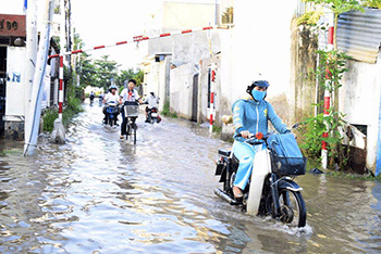 TPHCM đảm bảo an toàn công trình phòng chống triều cường dịp Tết Nguyên đán 2020