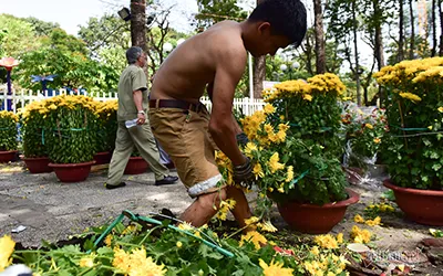 30 Tết: Thà bỏ hoa chứ không chịu bán rẻ!