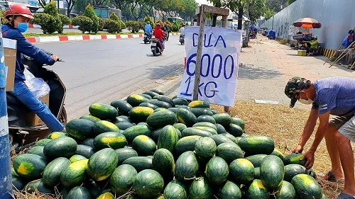 Giá cả thị trường hôm nay 7/2/2020: “Giải cứu” dưa hấu, giá 5.000 – 6.000 đồng/kg