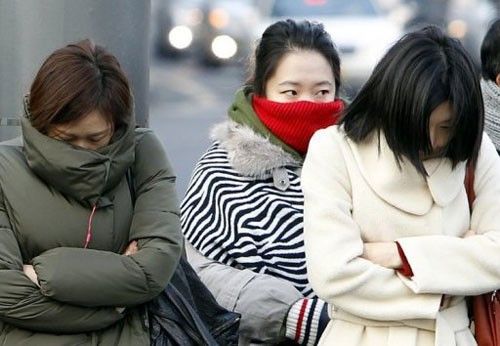 Dự báo thời tiết hôm nay 8/2: Đông Bắc Bộ rét đậm, vùng núi có nơi rét hại