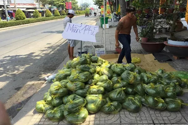 Chung tay Giải cứu dưa hấu: phát miễn phí hàng tấn dưa tại TPHCM