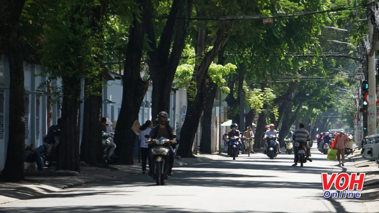 Dự báo thời tiết ngày mai 12/2: 3 miền đều tăng nhiệt