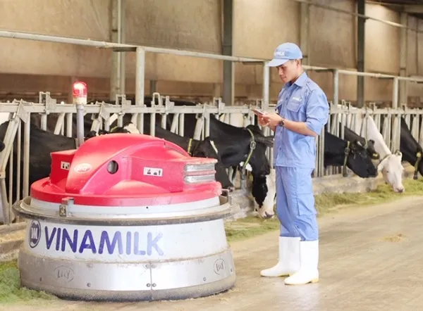 Phát triển nhân tài hiệu quả - lựa chọn nào cho doanh nghiệp?
