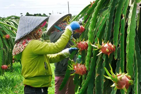 Nhiều Ngân hàng giảm lãi suất cho khách hàng thiệt hại do dịch virus corona