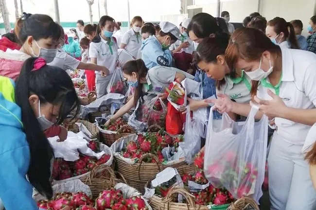 Kết nối hỗ trợ tiêu thụ nông sản gặp khó khăn trong xuất khẩu do ảnh hưởng dịch bệnh