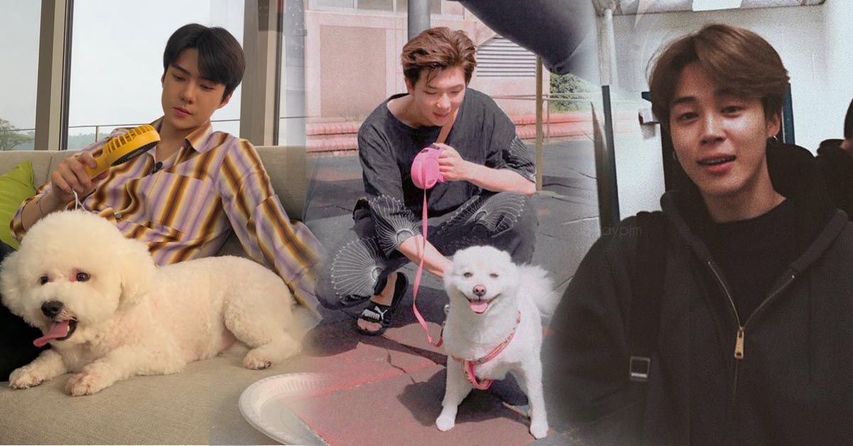RM (BTS), Sehun (EXO) và dàn nam thần Kpop với những khoảnh khắc chuẩn bạn trai của hội fangirl