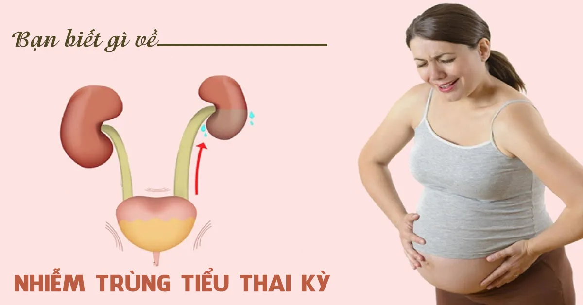 Nguyên nhân gây nhiễm trùng tiểu khi mang thai và cách xử trí