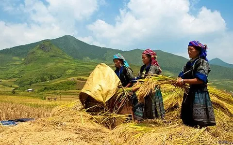 Phát triển KTXH vùng đồng bào dân tộc thiểu số và miền núi