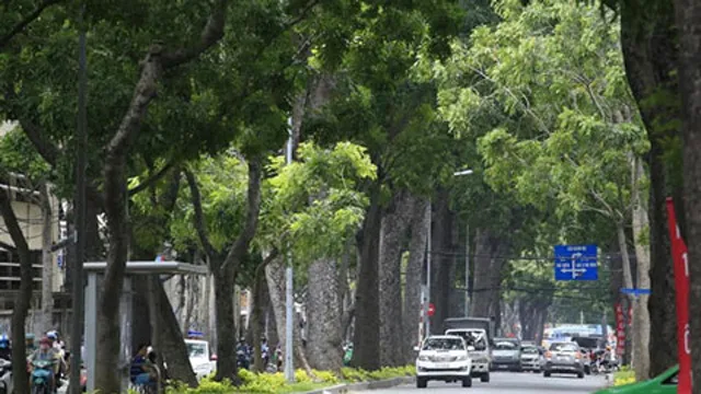 Xây dựng TPHCM Xanh - Thân thiện môi trường
