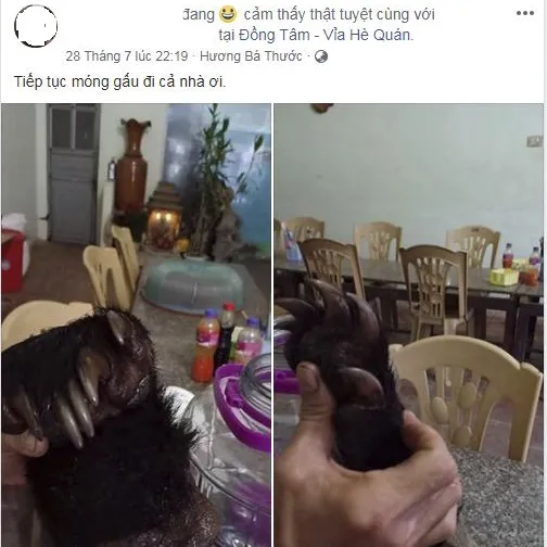 Vận chuyển trái phép chân gấu ngựa ngâm rượu bị phạt 3 năm tù
