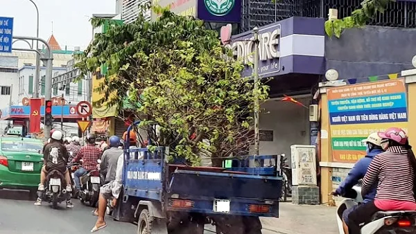TPHCM nghiên cứu chuyển đổi phương tiện, cấm xe thô sơ 3, 4 bánh lưu thông
