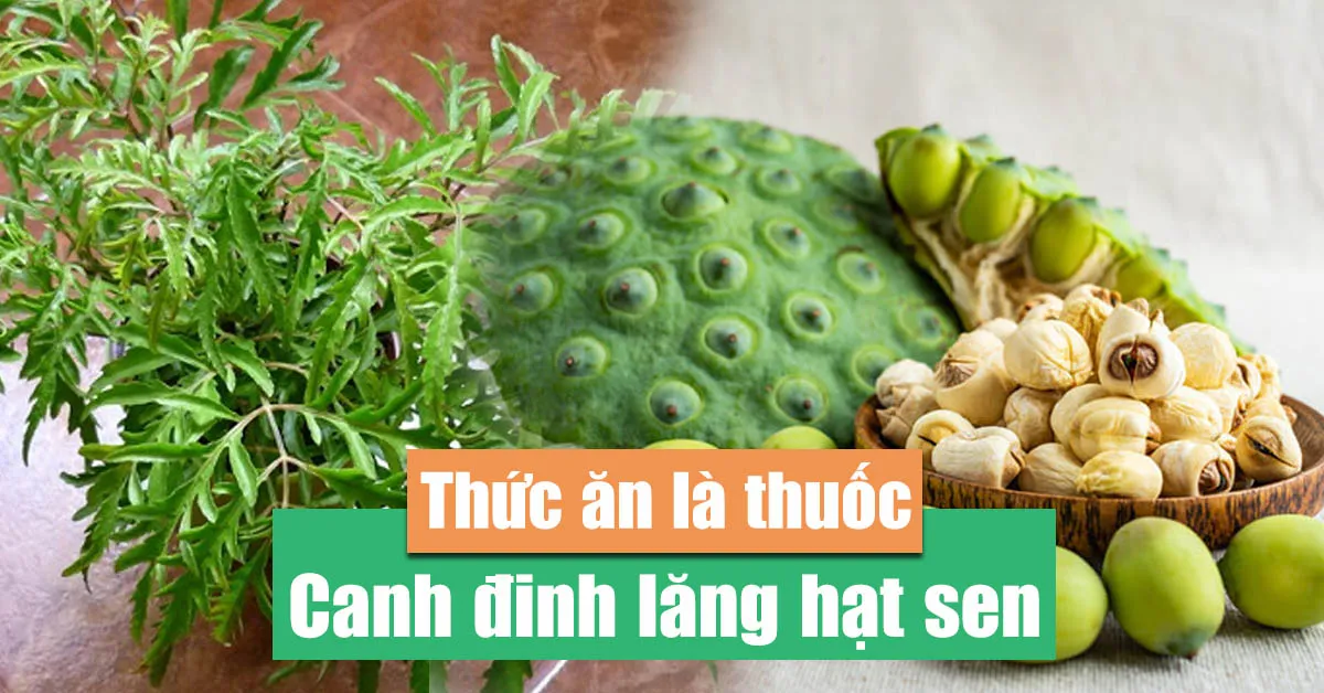 Ngủ ngon hơn nhờ ăn canh đinh lăng hạt sen