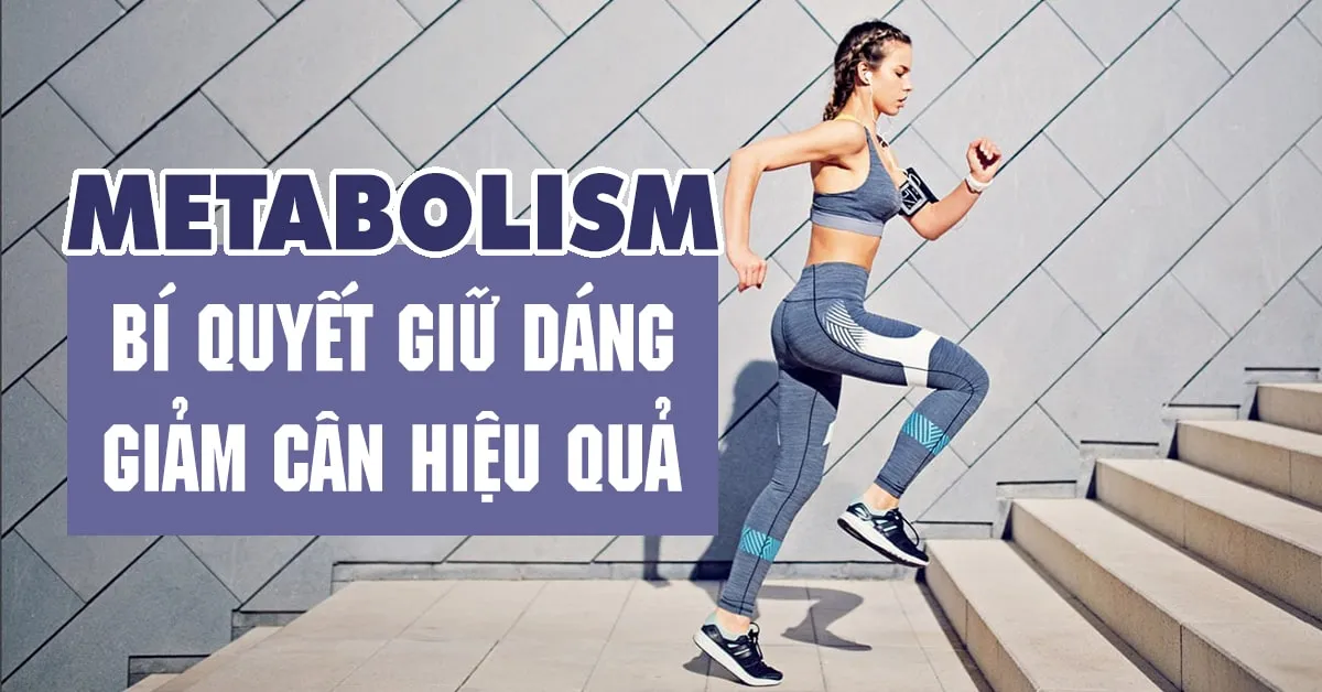 Metabolism là gì? Vai trò của metabolism với giảm cân và giữ dáng