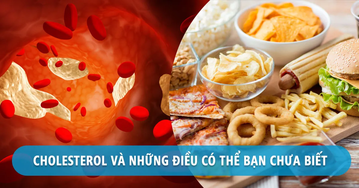 Cholesterol có thật sự ‘xấu’ đối với cơ thể?