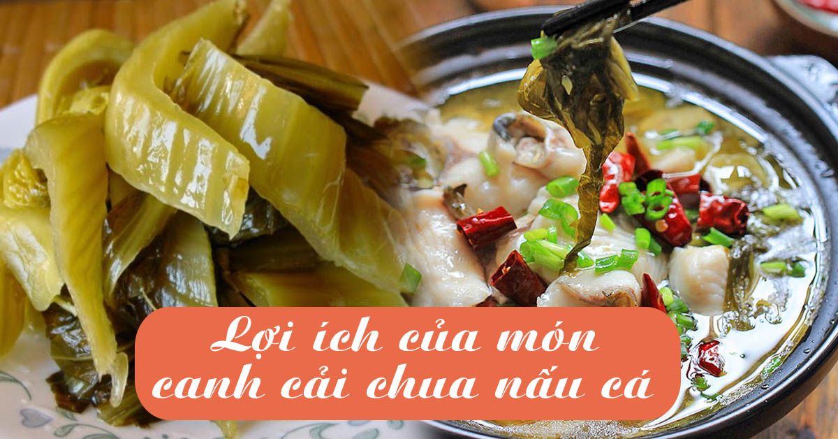 Canh cải chua nấu cá – ‘thực phẩm vàng’ cho hệ tiêu hóa