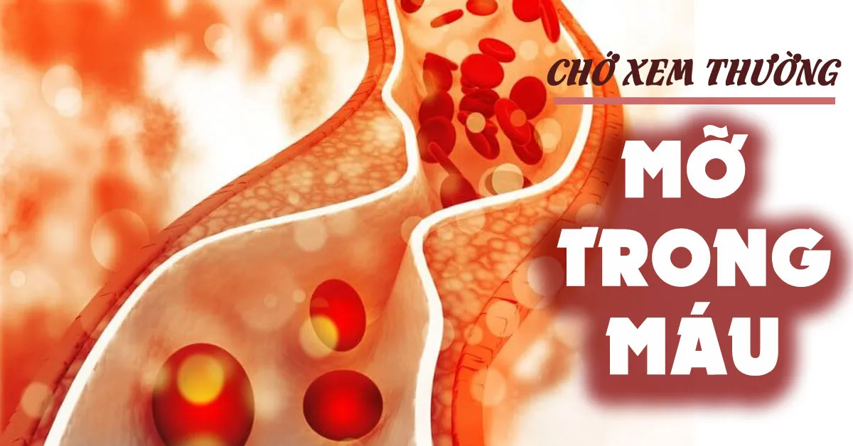 Tăng mỡ máu và những vấn đề không phải ai cũng biết